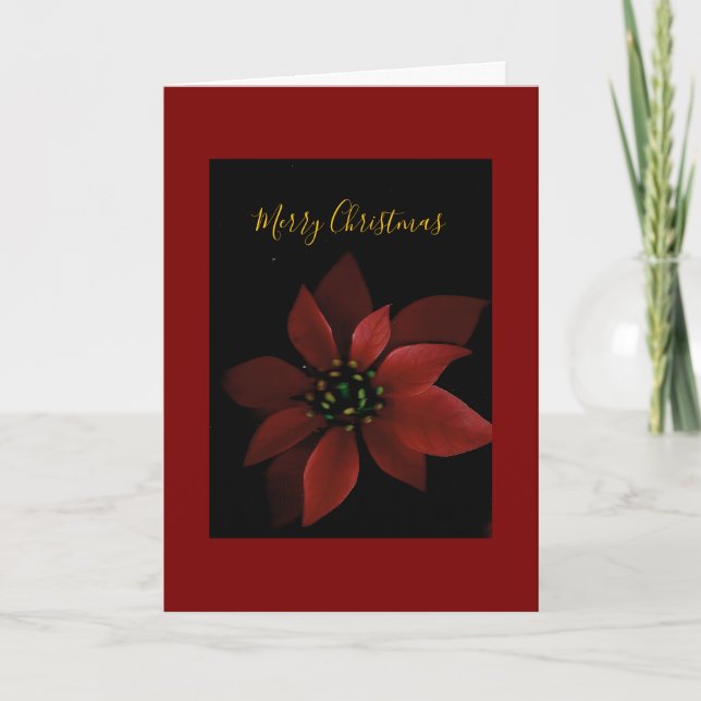 Red Poinsettia Merry Christmas  Kort (Framsida)