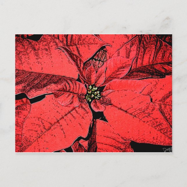 Red Poinsettia Vykort (Framsida)