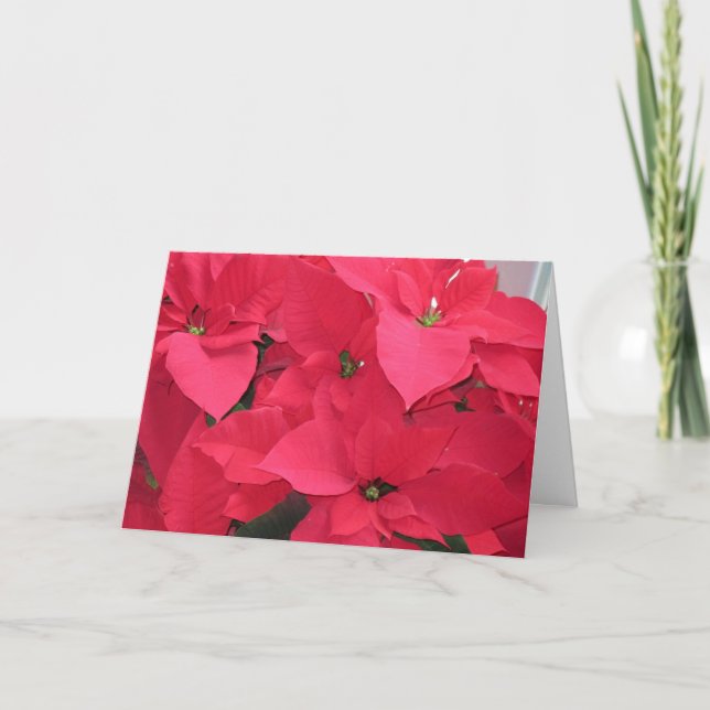 Red Poinsettias Helgkort (Framsida)