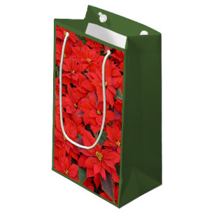 Red Poinsettias I Julens Helgdag Blommigt Photo