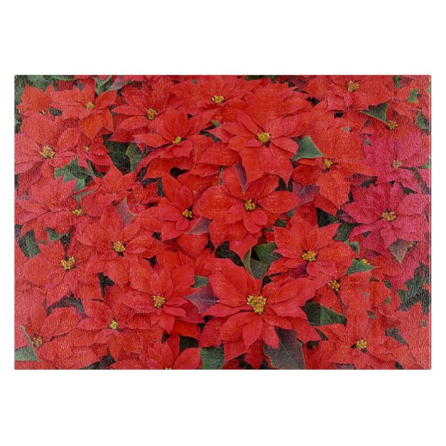 Red Poinsettias I Julens Helgdag Blommigt Photo (Framsidan)