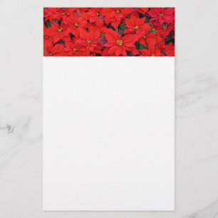 Red Poinsettias I Julens Helgdag Blommigt Photo Brevpapper