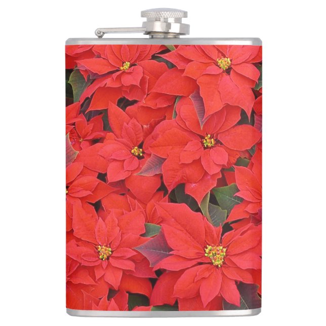Red Poinsettias I Julens Helgdag Blommigt Photo Fickplunta (Framsidan)