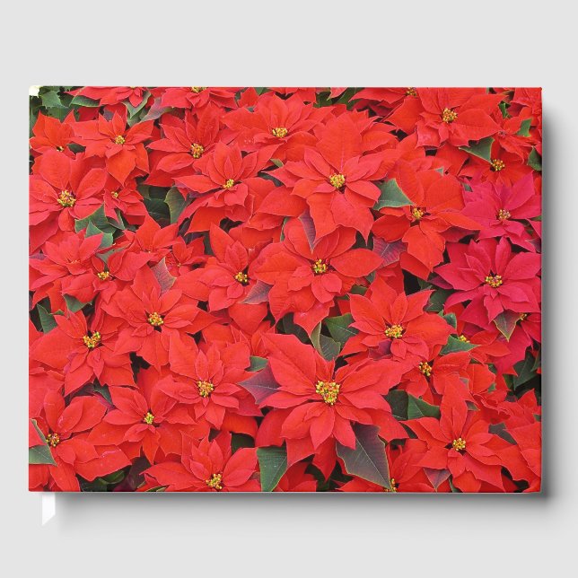 Red Poinsettias I Julens Helgdag Blommigt Photo Gästböcker (Framsida)