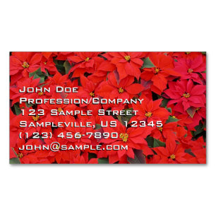 Red Poinsettias I Julens Helgdag Blommigt Photo Magnetiska Visitkort
