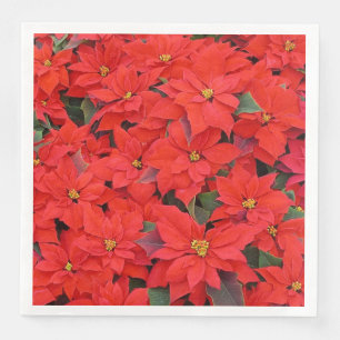 Red Poinsettias I Julens Helgdag Blommigt Photo Pappersservett