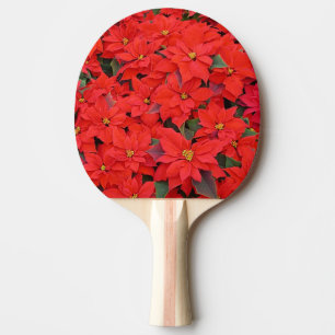 Red Poinsettias I Julens Helgdag Blommigt Photo Pingisracket