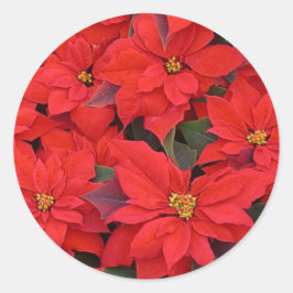 Red Poinsettias I Julens Helgdag Blommigt Photo Runt Klistermärke