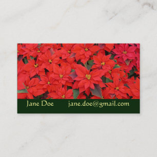 Red Poinsettias I Julens Helgdag Blommigt Photo Visitkort