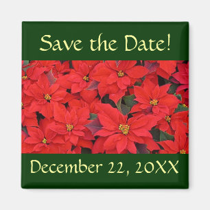 Red Poinsettias I Spara datum magneter