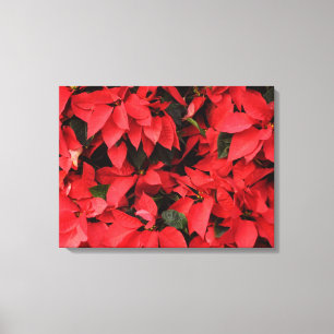 Red Poinsettias II Julens Helgdag Blommigt Canvastryck