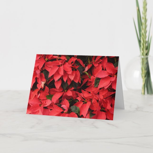 Red Poinsettias II Julens Helgdag Blommigt Helgkort (Framsida)