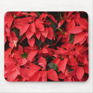 Red Poinsettias II Julens Helgdag Blommigt Musmatta
