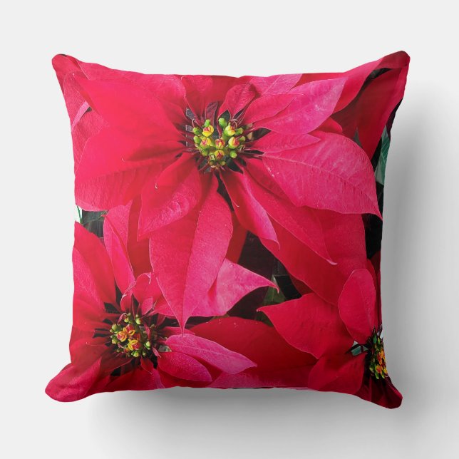 Red Poinsettias Kudde (Framsida)