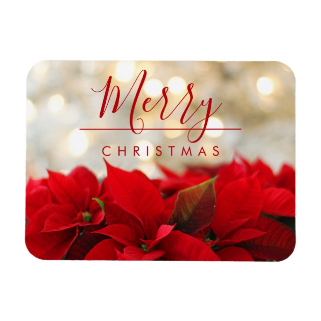 Red Poinsettias med Golden Bokeh-julen Magnet (Horisontell)
