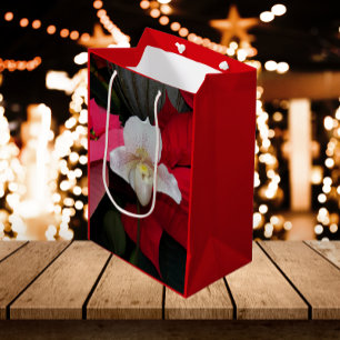 Red Poinsettias och Dam Slipper Orchid Helgdag