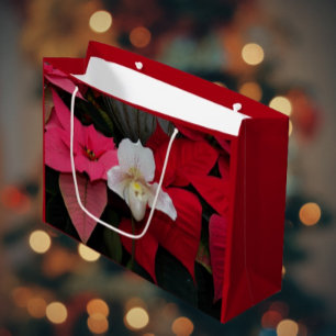 Red Poinsettias och Dam Slipper Orchid Helgdag