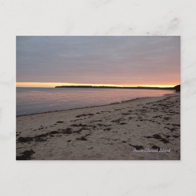 Red Point, PEI-vykort Vykort (Framsida)