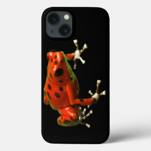 Red Poison Dart Frog
