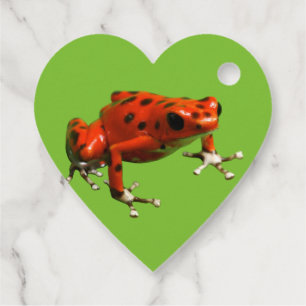 Red Poison Dart Frog Gåvor Etiketter