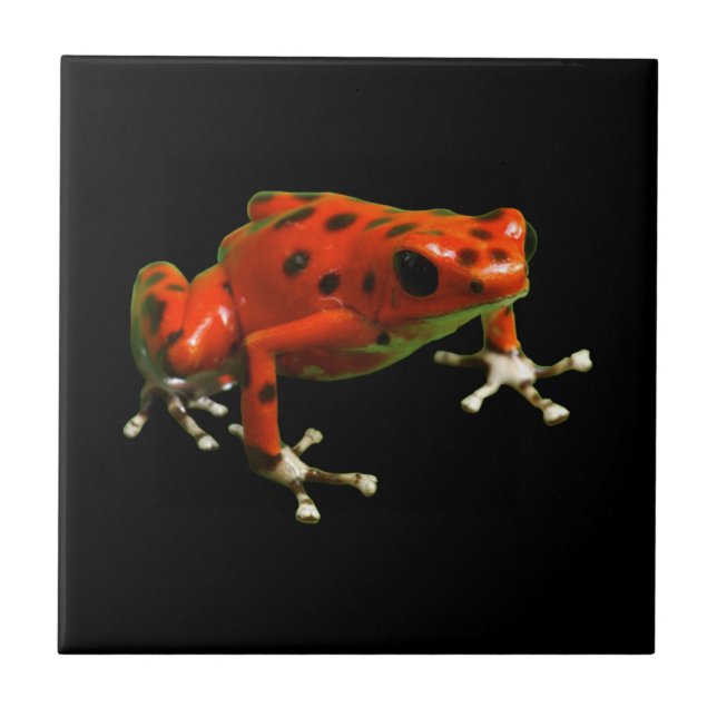 Red Poison Dart Frog Kakelplatta (Framsidan)