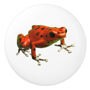 Red Poison Dart Frog Knopp
