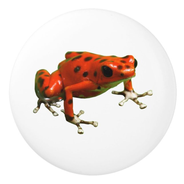 Red Poison Dart Frog Knopp (Framsidan)