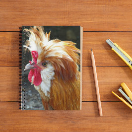 Red Polcken Chicken Photo Anteckningsbok