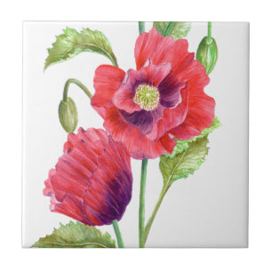 Red Poppies Blommigt Art Kakelplatta