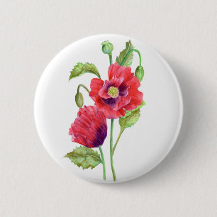 Red Poppies Blommigt Art Knapp
