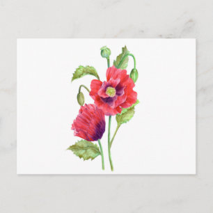 Red Poppies Blommigt Art Vykort