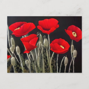 Red Poppies Natature Art Vykort