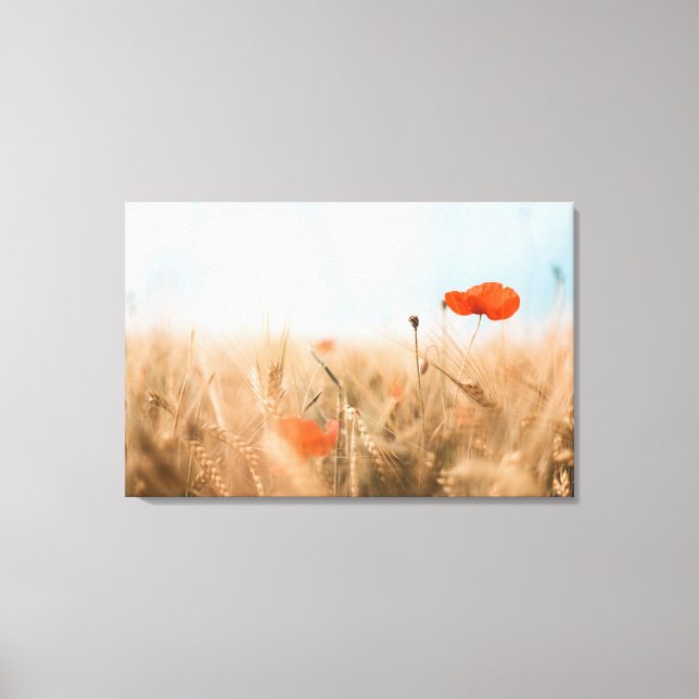 Red Poppies och Guld Barley Canvastryck (Framsida)