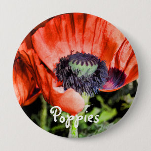 Red Poppies & Stamen Flowers Flora Art Gifts Knapp