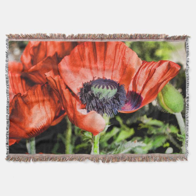 Red Poppies & Stamen Flowers Flora Art Gifts Mysfilt (Framsidan)