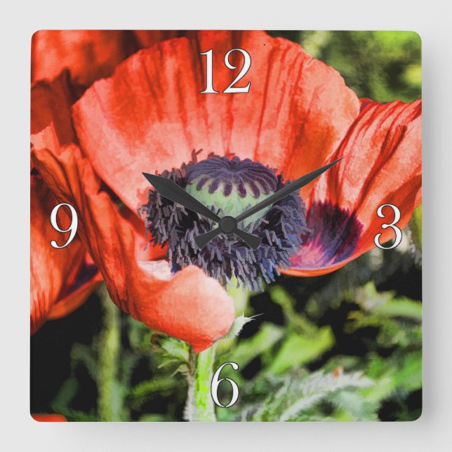Red Poppies & Stamen Flowers Flora Photo Clock Fyrkantig Klocka (Framsida)
