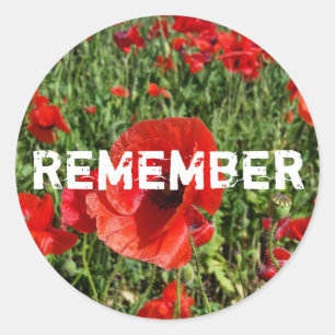 Red Poppies Sticker Runt Klistermärke