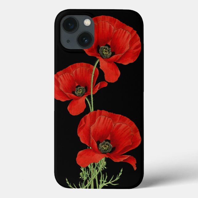 Red Poppies Vintage Botanical (Baksida)