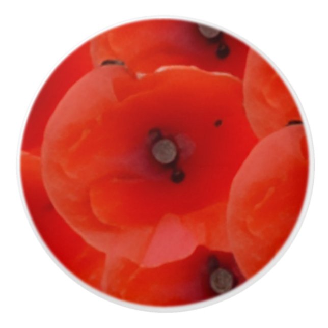 Red Poppoes Design Ceramic Pull Handles Knopp (Framsidan)