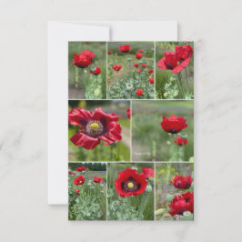 Red Poppy Collage Anteckningskort