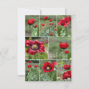 Red Poppy Collage Anteckningskort
