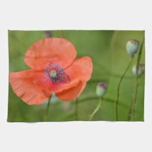 Red Poppy Dish Towel Kökshandduk