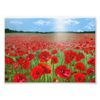 Red poppy field wall art decor landscape fototryck