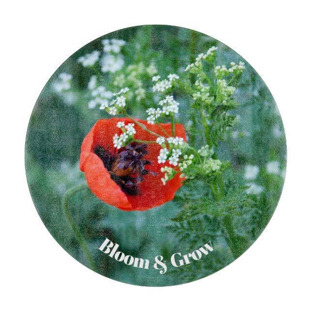 Red Poppy Flower Decorative Glass Plate | Floral A (Framsidan)