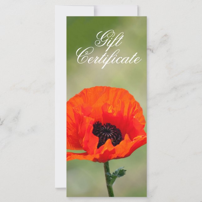 Red Poppy Flower Gift-certifikat (Framsida)