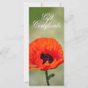 Red Poppy Flower Gift-certifikat