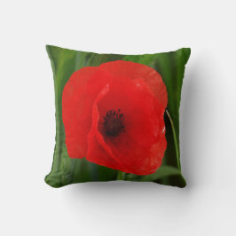 Red Poppy Flower Kudde