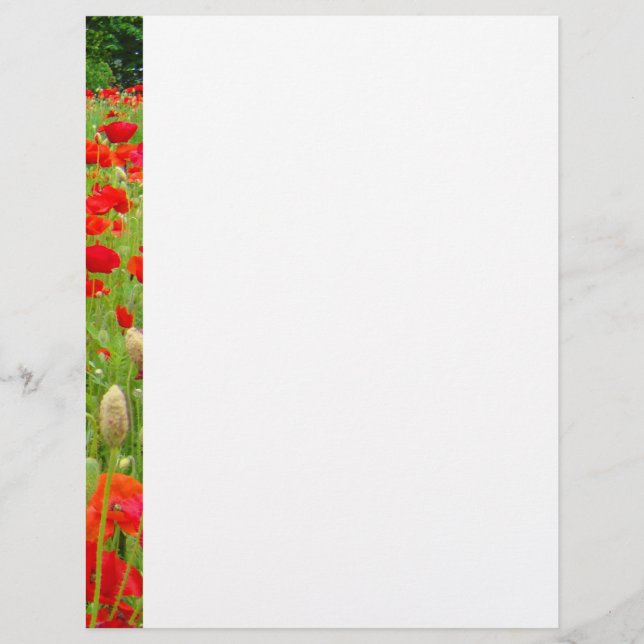 Red Poppy Flower Letterhead anpassningsbar Poppies (Framsida)