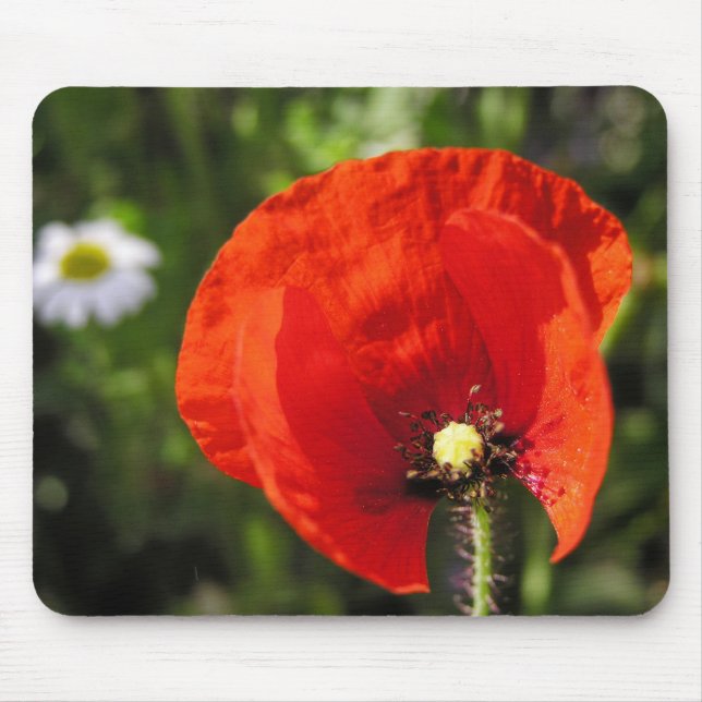 Red Poppy Flower Mousepad Musmatta (Framsidan)