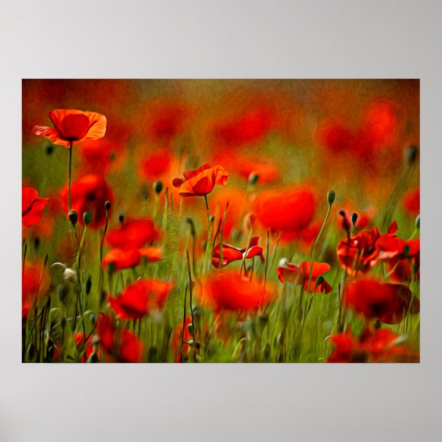 Red Poppy Flowers Poster (Framsidan)